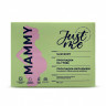 Прокладки-вкладыши для груди одноразовые с суперабсорбентом Just Me 30 штук. Прокладки-вкладыши для груди одноразовые с суперабсорбентом Just Me 30 штук.